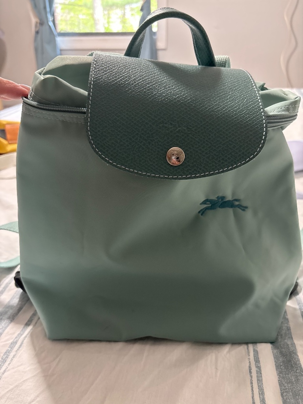 Seafoam Longchamp Backpack - Picture 5 of 6